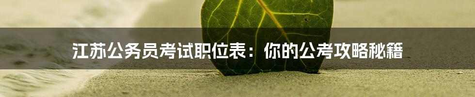 江苏公务员考试职位表:你的公考攻略秘籍