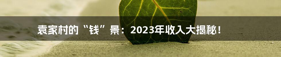 袁家村的“钱”景:2023年收入大揭秘!