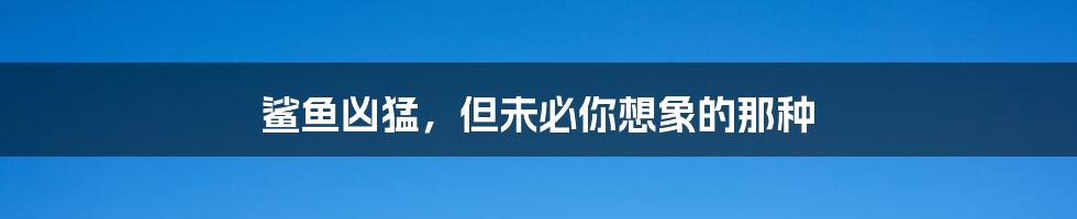 鲨鱼凶猛，但未必你想象的那种