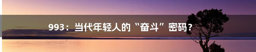 993:当代年轻人的“奋斗”密码?