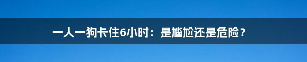 一人一狗卡住6小时:是尴尬还是危险?