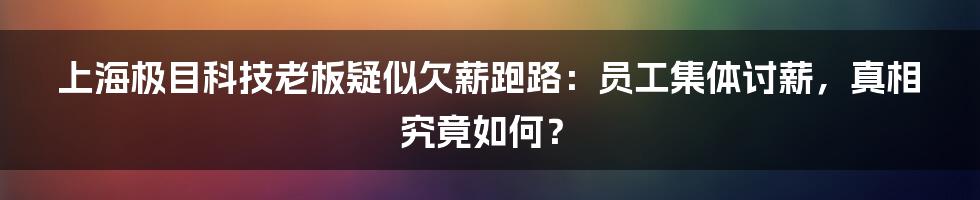 上海极目科技老板疑似欠薪跑路:员工集体讨薪,真相究竟如何?
