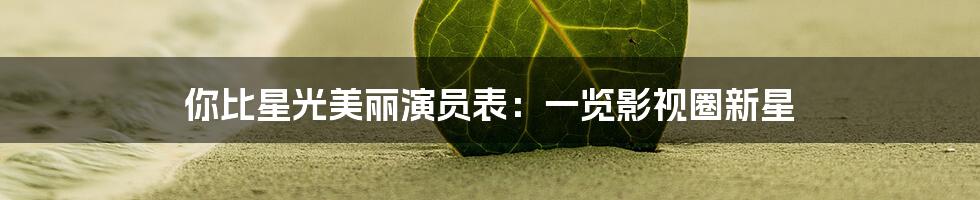 你比星光美丽演员表:一览影视圈新星