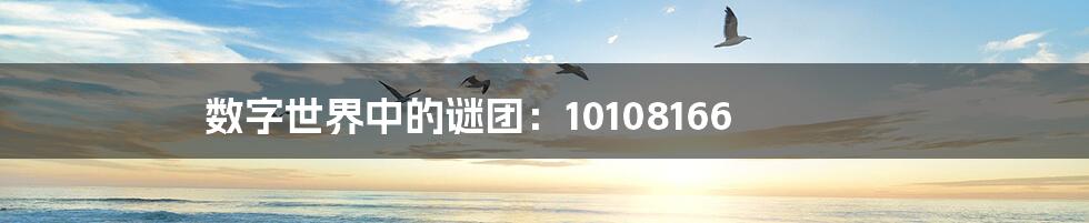 数字世界中的谜团：10108166