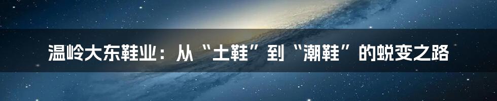 温岭大东鞋业:从“土鞋”到“潮鞋”的蜕变之路