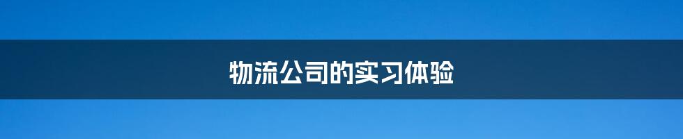 物流公司的实习体验
