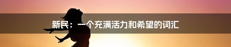 新民:一个充满活力和希望的词汇