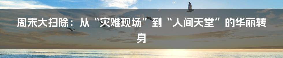 周末大扫除:从“灾难现场”到“人间天堂”的华丽转身