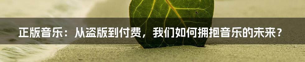 正版音乐:从盗版到付费,我们如何拥抱音乐的未来?