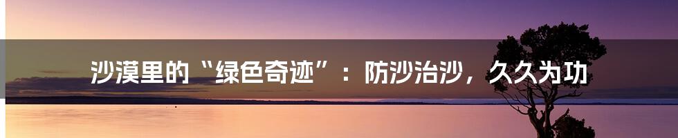 沙漠里的“绿色奇迹”:防沙治沙,久久为功