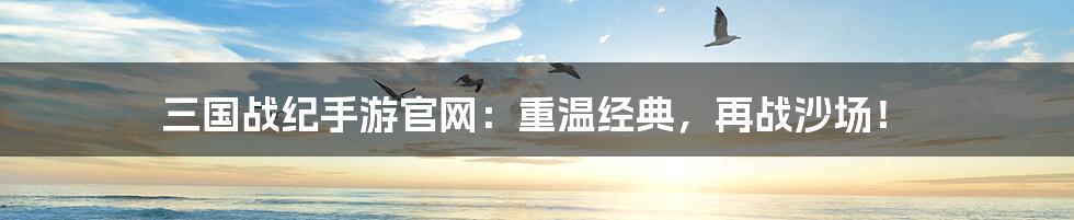 三国战纪手游官网:重温经典,再战沙场!