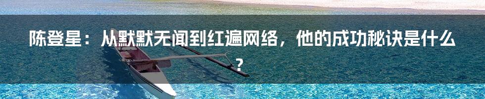 陈登星:从默默无闻到红遍网络,他的成功秘诀是什么?