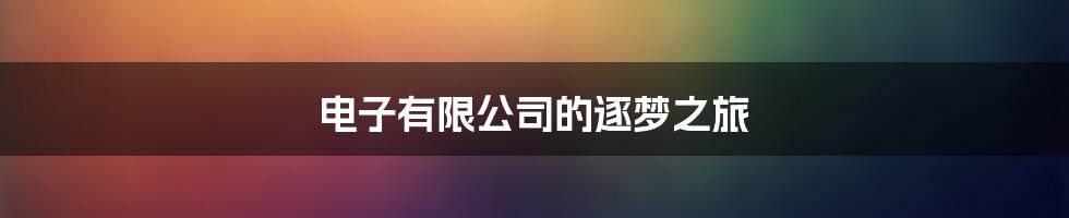 电子有限公司的逐梦之旅