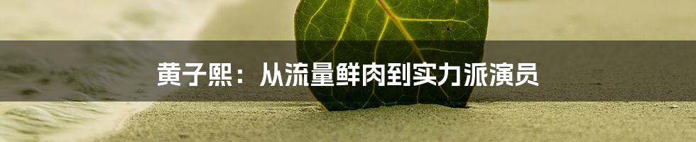 黄子熙:从流量鲜肉到实力派演员
