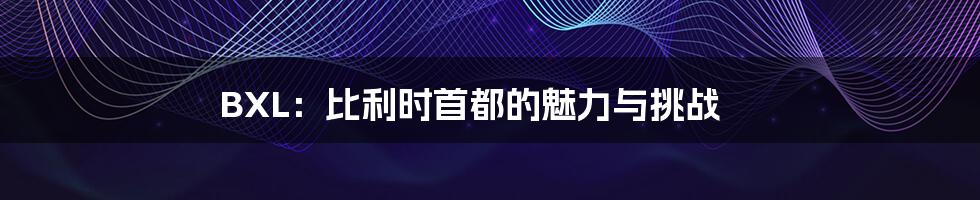 BXL：比利时首都的魅力与挑战