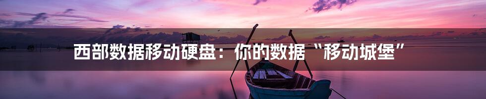 西部数据移动硬盘:你的数据“移动城堡”