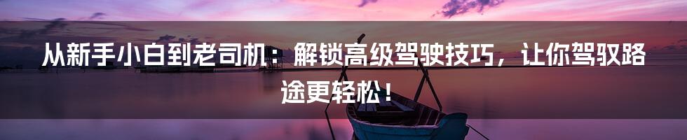 从新手小白到老司机:解锁高级驾驶技巧,让你驾驭路途更轻松!