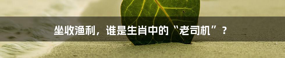 坐收渔利，谁是生肖中的“老司机”？