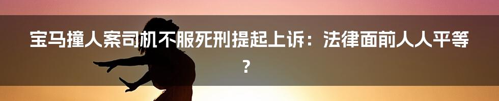 宝马撞人案司机不服死刑提起上诉:法律面前人人平等?