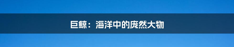 巨鲸：海洋中的庞然大物
