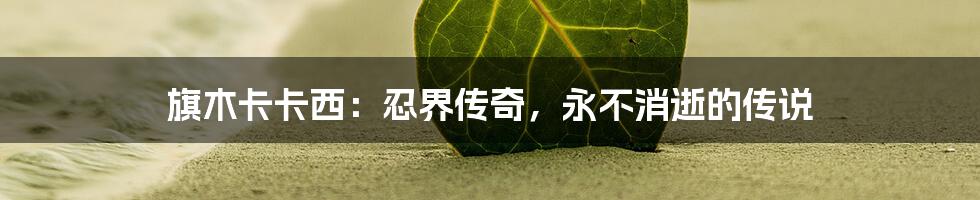 旗木卡卡西:忍界传奇,永不消逝的传说