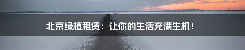 北京绿植租赁:让你的生活充满生机!
