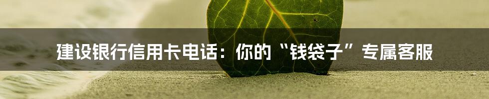建设银行信用卡电话：你的“钱袋子”专属客服