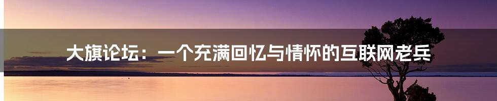 大旗论坛:一个充满回忆与情怀的互联网老兵