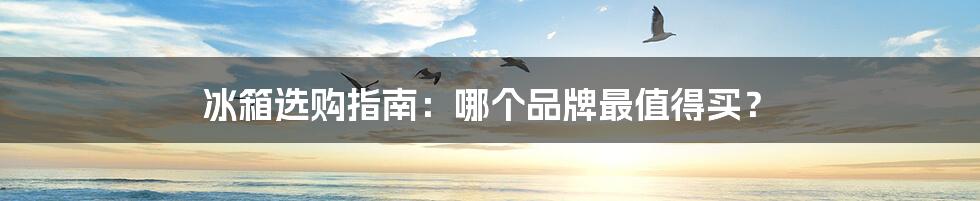 冰箱选购指南:哪个品牌最值得买?