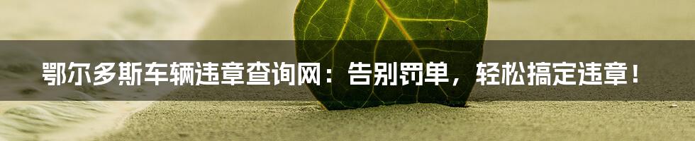鄂尔多斯车辆违章查询网:告别罚单,轻松搞定违章!