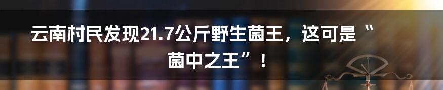 云南村民发现21.7公斤野生菌王,这可是“菌中之王”!