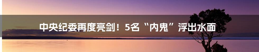 中央纪委再度亮剑!5名“内鬼”浮出水面