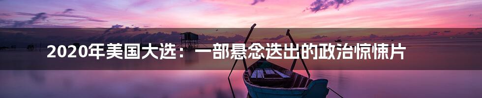 2020年美国大选:一部悬念迭出的政治惊悚片