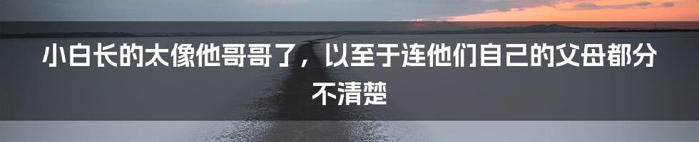 小白长的太像他哥哥了,以至于连他们自己的父母都分不清楚