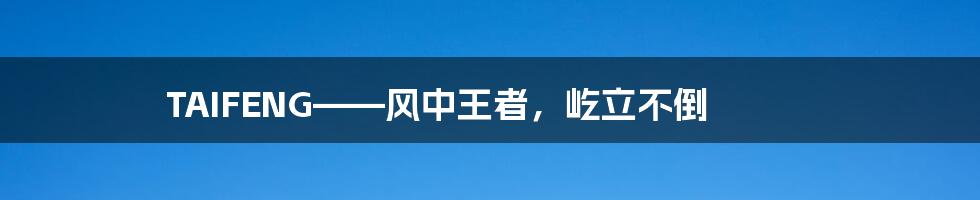 TAIFENG——风中王者，屹立不倒