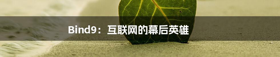 Bind9:互联网的幕后英雄