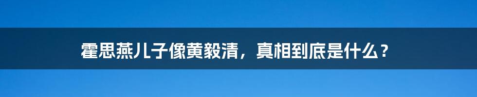 霍思燕儿子像黄毅清,真相到底是什么?