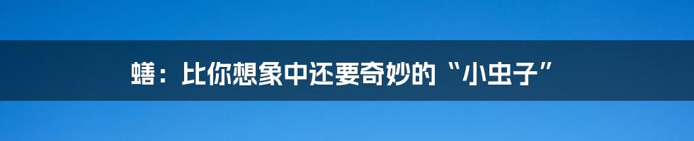 蟮:比你想象中还要奇妙的“小虫子”