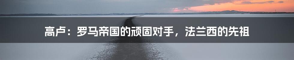 高卢:罗马帝国的顽固对手,法兰西的先祖