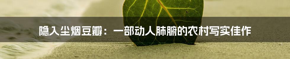 隐入尘烟豆瓣:一部动人肺腑的农村写实佳作