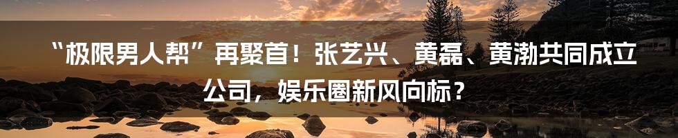 “极限男人帮”再聚首!张艺兴、黄磊、黄渤共同成立公司,娱乐圈新风向标?