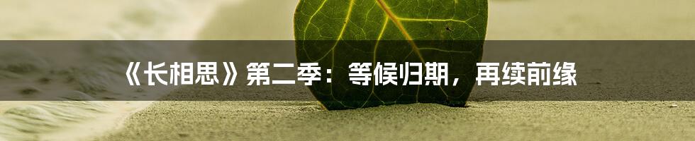 《长相思》第二季:等候归期,再续前缘