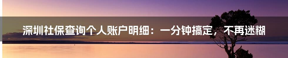 深圳社保查询个人账户明细:一分钟搞定,不再迷糊