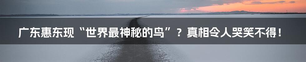 广东惠东现“世界最神秘的鸟”?真相令人哭笑不得!