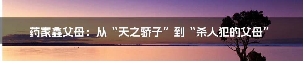 药家鑫父母:从“天之骄子”到“杀人犯的父母”