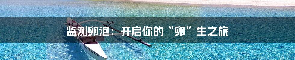 监测卵泡：开启你的“卵”生之旅