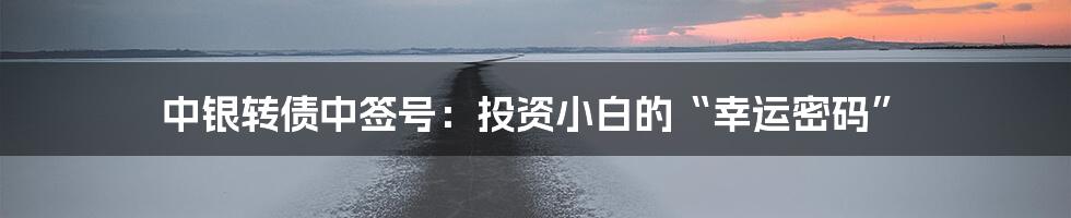 中银转债中签号:投资小白的“幸运密码”
