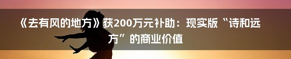 《去有风的地方》获200万元补助:现实版“诗和远方”的商业价值