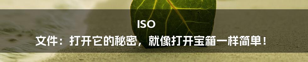 ISO 文件：打开它的秘密，就像打开宝箱一样简单！