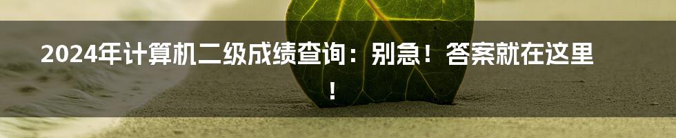 2024年计算机二级成绩查询:别急!答案就在这里!